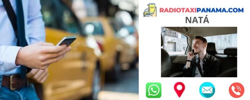 Números de Radio Taxi en Natá 4 radio taxi panama nata